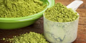 Why You Should Have a Greens Powder Every Day!