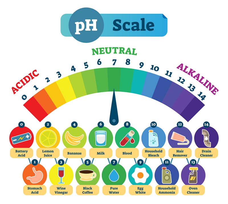 Food pH scale