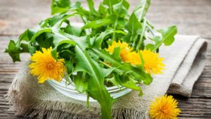 10 Health Benefits of Dandelion Supplements